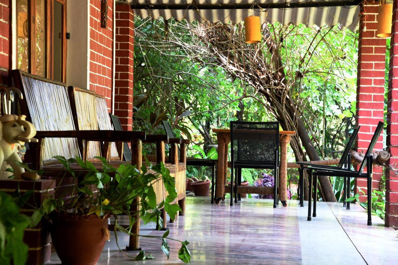 Baaz Jungle Resort Khawasa Exterior photo