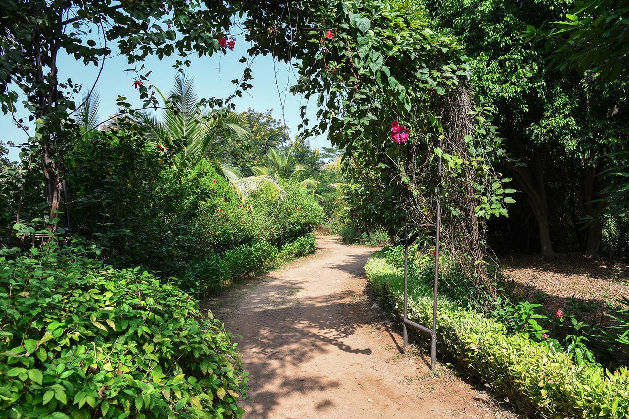 Baaz Jungle Resort Khawasa Exterior photo