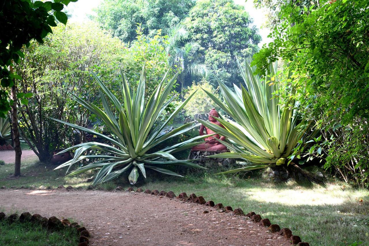 Baaz Jungle Resort Khawasa Exterior photo