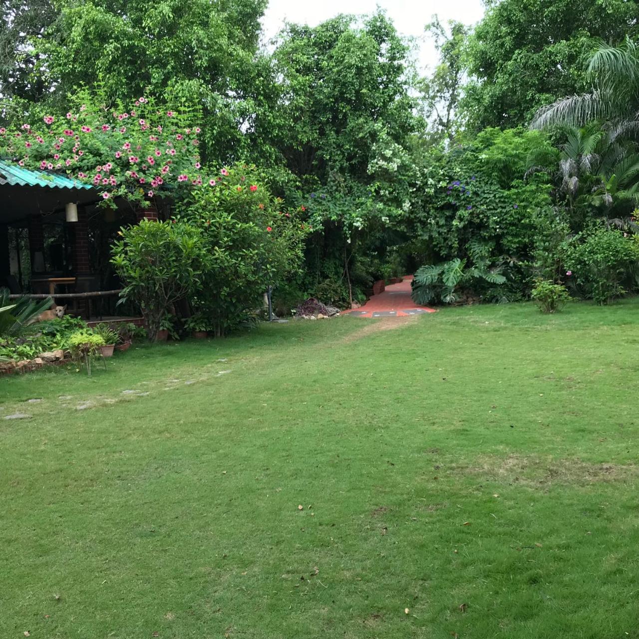 Baaz Jungle Resort Khawasa Exterior photo