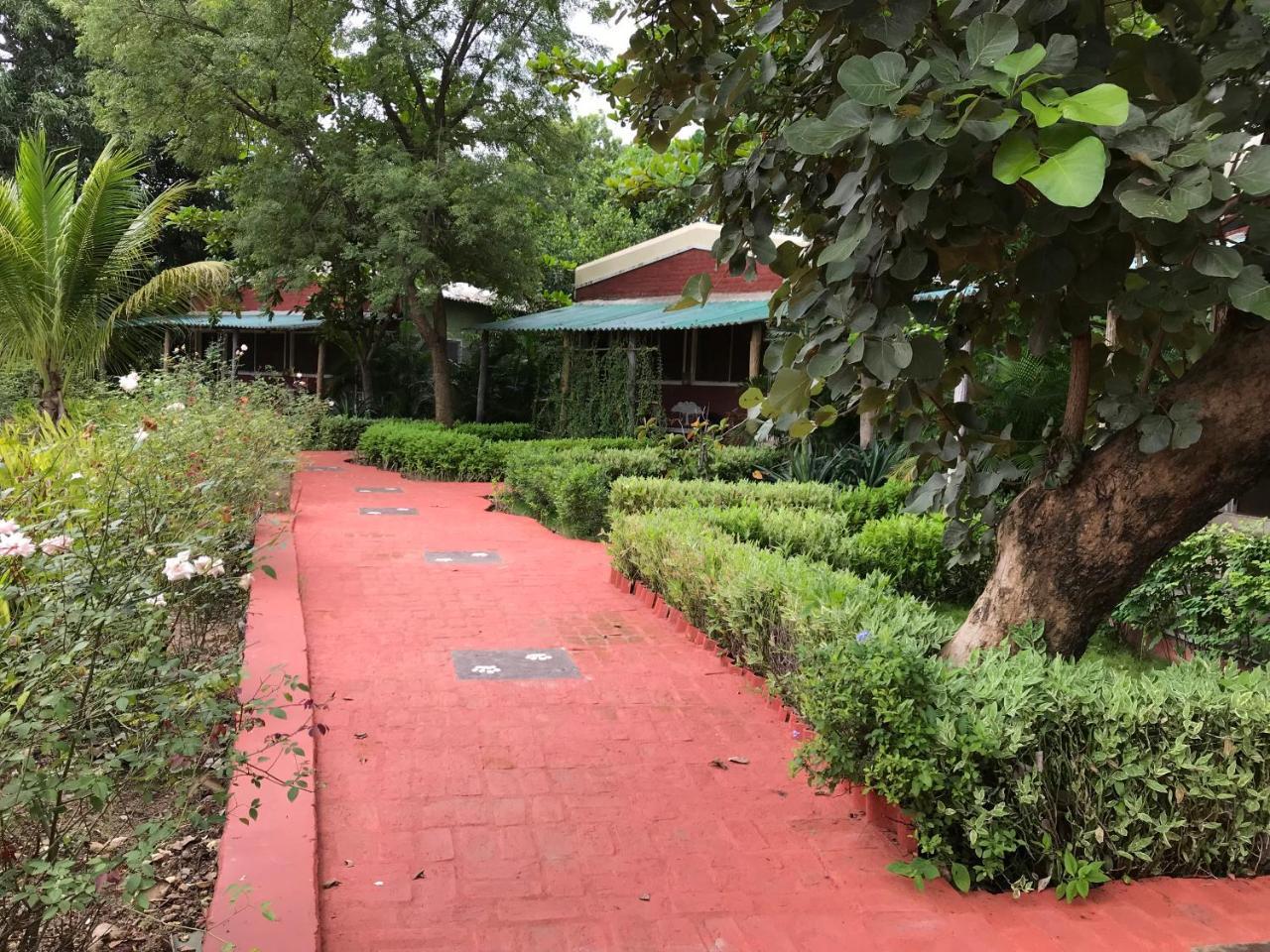 Baaz Jungle Resort Khawasa Exterior photo